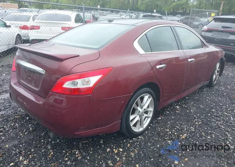 2010 Nissan Maxima 3.5 Sv z USA, uszkodzony, nr VIN 1N4AA5AP7AC824822